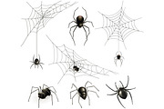 Spiders and spiders web, game icons
