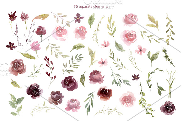Watercolor Burgundy & Pink Flowers in Illustrations - product preview 1