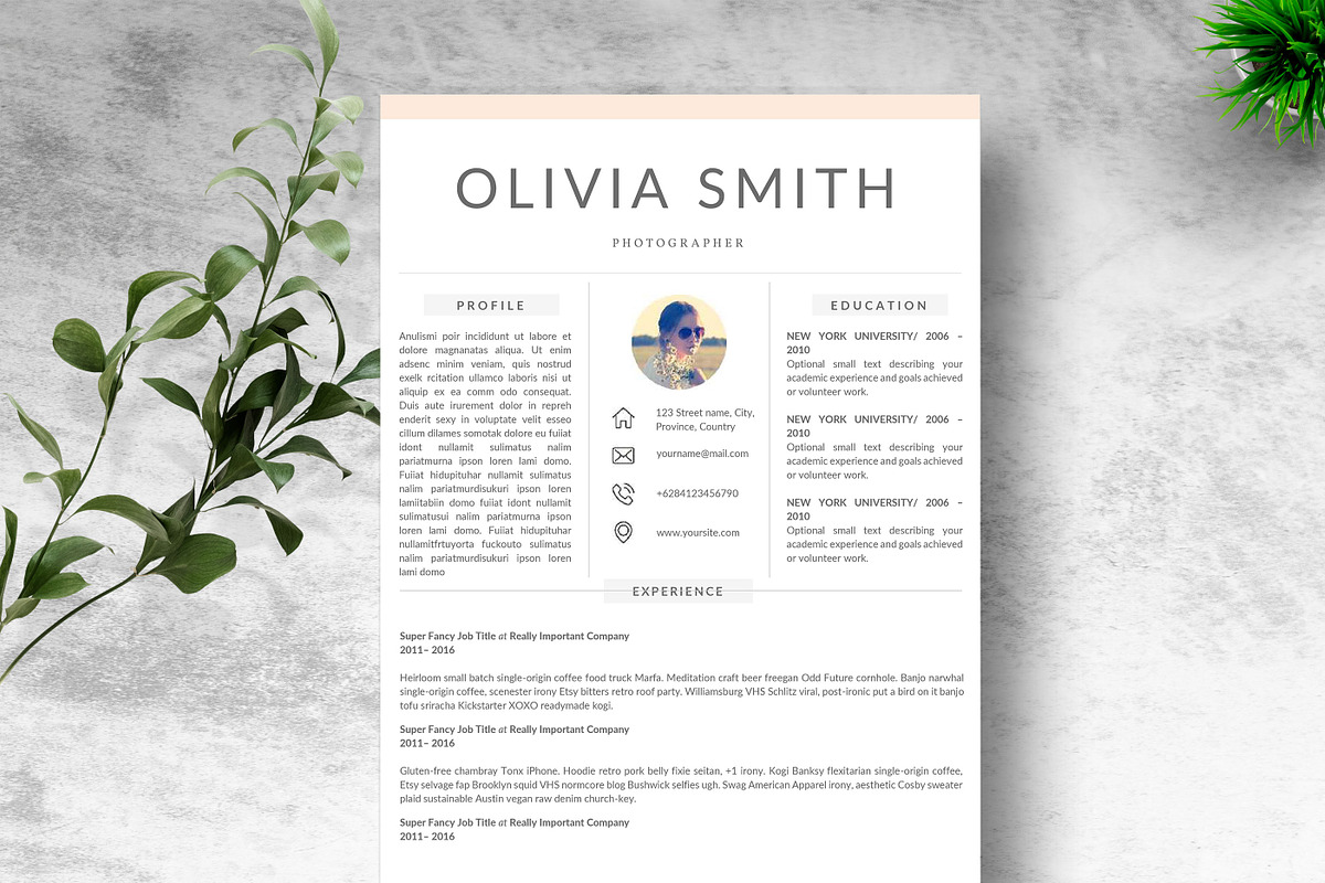 Resume Template 4 Pages in Resume Templates - product preview 8