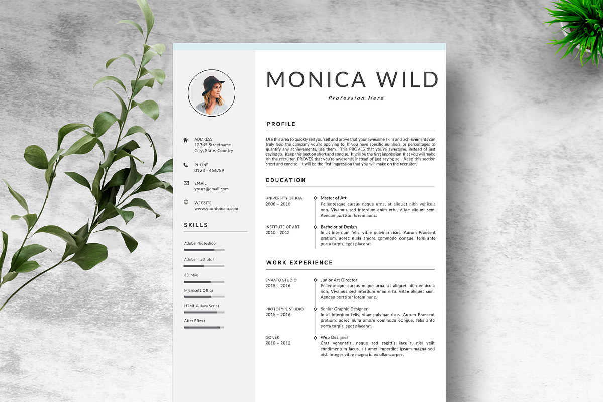 Resume Template | CV Word Mac in Resume Templates - product preview 8
