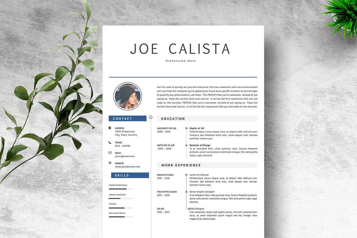 Professional CV Resume Template in Letter Templates - product preview 8