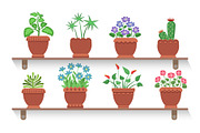 Room Plants Placed on Shelves Vector