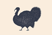 Turkey, bird. Concept design of farm