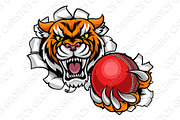 Tiger Holding Cricket Ball Breaking