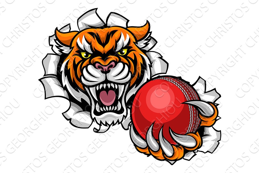 Tiger Holding Cricket Ball Breaking in Illustrations - product preview 8