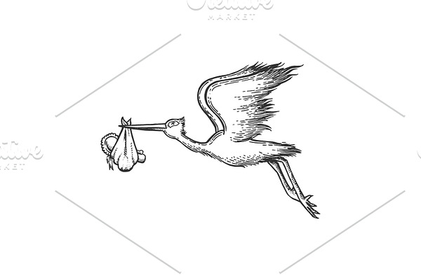 Stork carry baby engraving vector