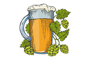 Beer and hops plant color sketch