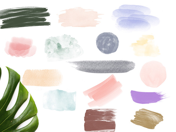 Botanica Watercolour Stamp Brushes in Photoshop Brushes - product preview 5