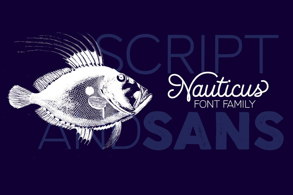 Nauticus Script&Sans in Script Fonts - product preview 8