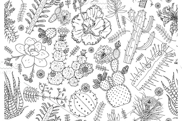 Cactus Seamless pattern and