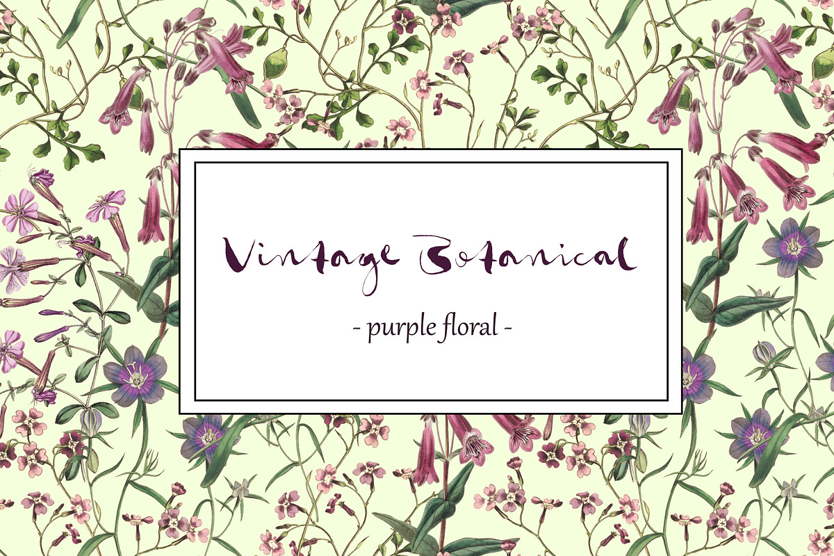 Vintage Botanical - Purple Floral in Patterns - product preview 8