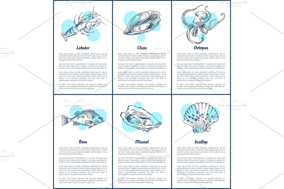 Bass Fish and Octopus Set Vector in Illustrations - product preview 8