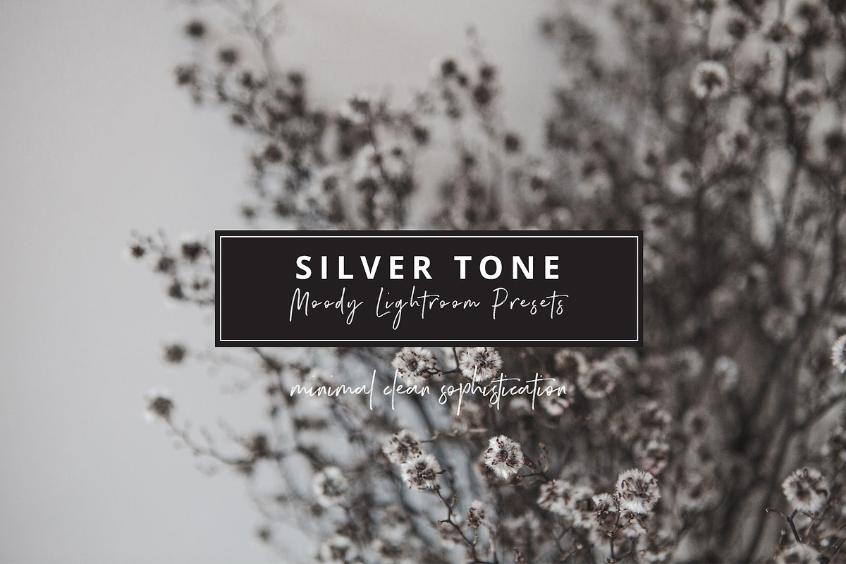 Ash Silver Lightroom Preset Desktop in Add-Ons - product preview 8