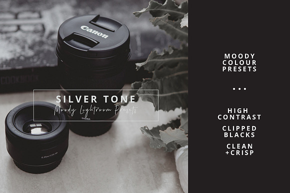 Ash Silver Lightroom Preset Desktop in Add-Ons - product preview 1