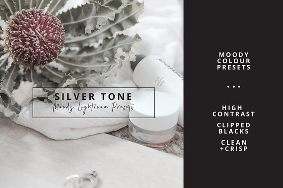 Ash Silver Lightroom Preset Desktop in Add-Ons - product preview 2