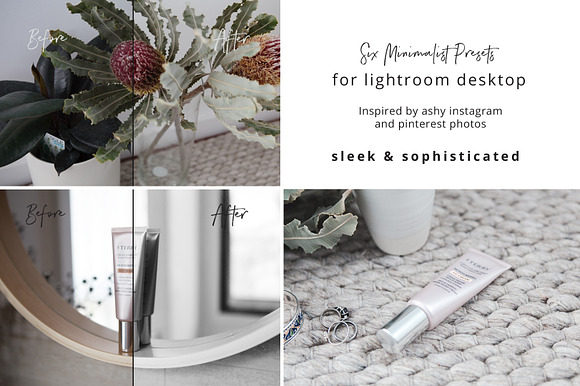 Ash Silver Lightroom Preset Desktop in Add-Ons - product preview 3