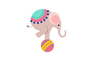Elephant Balancing on Colorful Ball