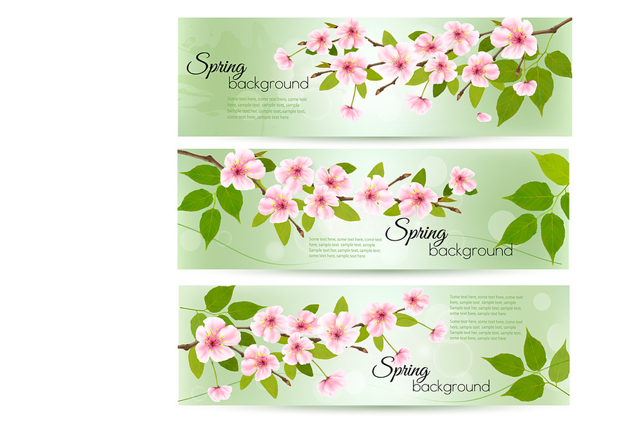 Spring nature background with cherry in Illustrations - product preview 8