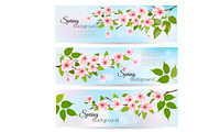 Three nature spring banners. Vector