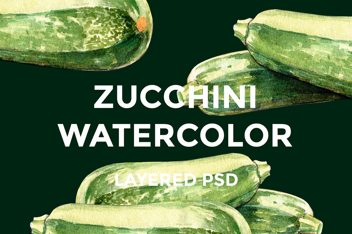 Zucchini watercolor illustrations in Illustrations - product preview 8