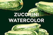 Zucchini watercolor illustrations