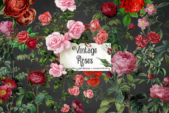 Vintage Roses Clipart in Illustrations - product preview 1