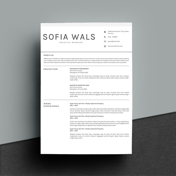 Professional Clean Resume Template in Letter Templates - product preview 1