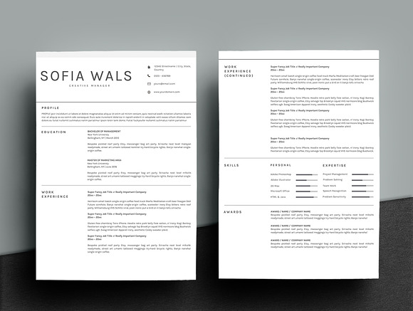 Professional Clean Resume Template in Letter Templates - product preview 3