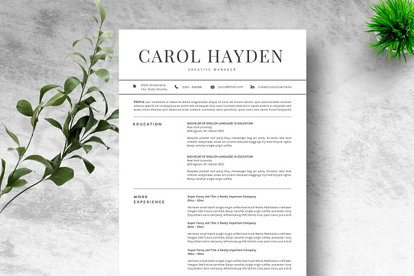 Resume Template 2 pages CV