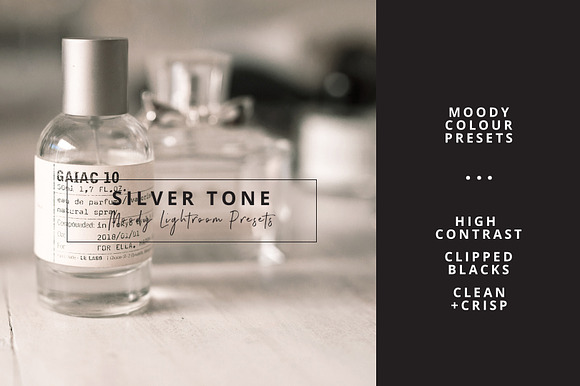 Ash Silver Lightroom Preset Desktop in Add-Ons - product preview 4