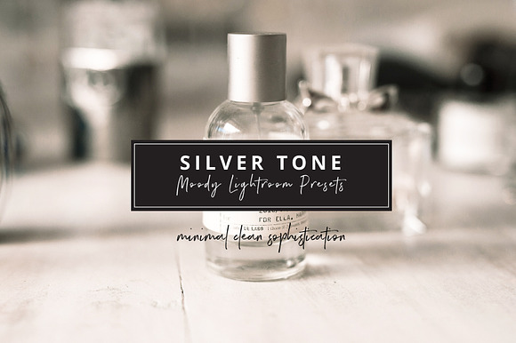 Ash Silver Lightroom Preset Desktop in Add-Ons - product preview 6