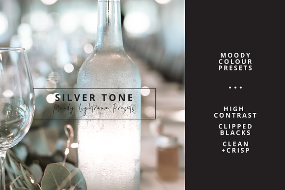 Ash Silver Lightroom Preset Desktop in Add-Ons - product preview 7