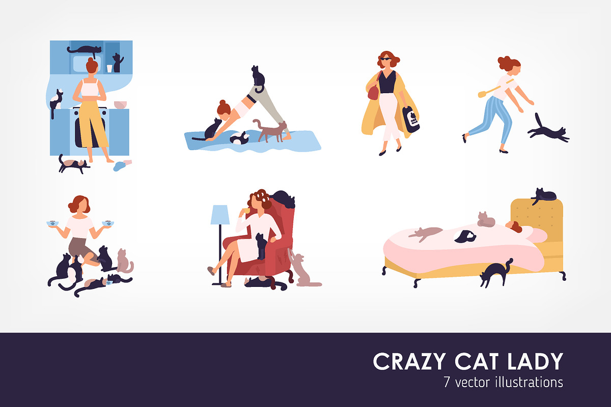 Crazy cat lady set in Illustrations - product preview 8