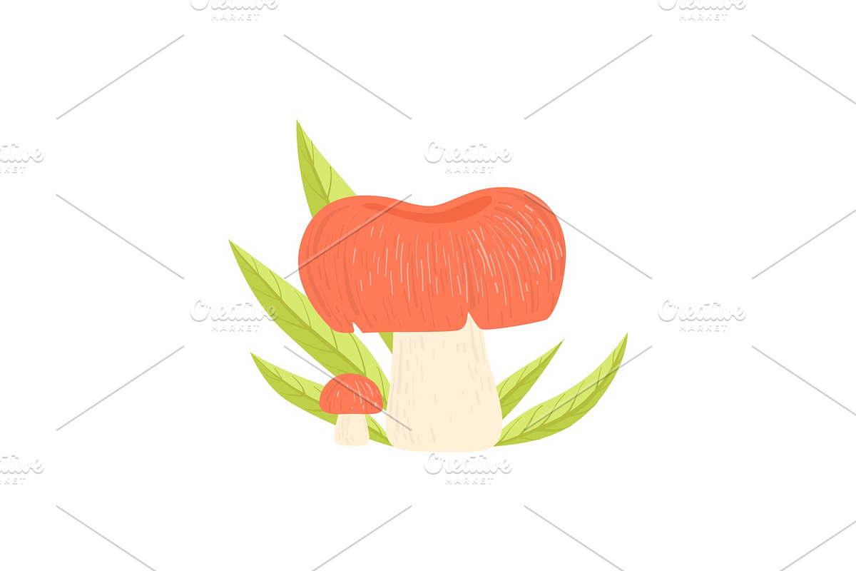 Forest Edible Mushroom and Green in Illustrations - product preview 8
