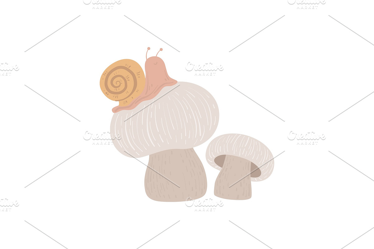 Forest Edible Champignon Mushroom in Illustrations - product preview 8