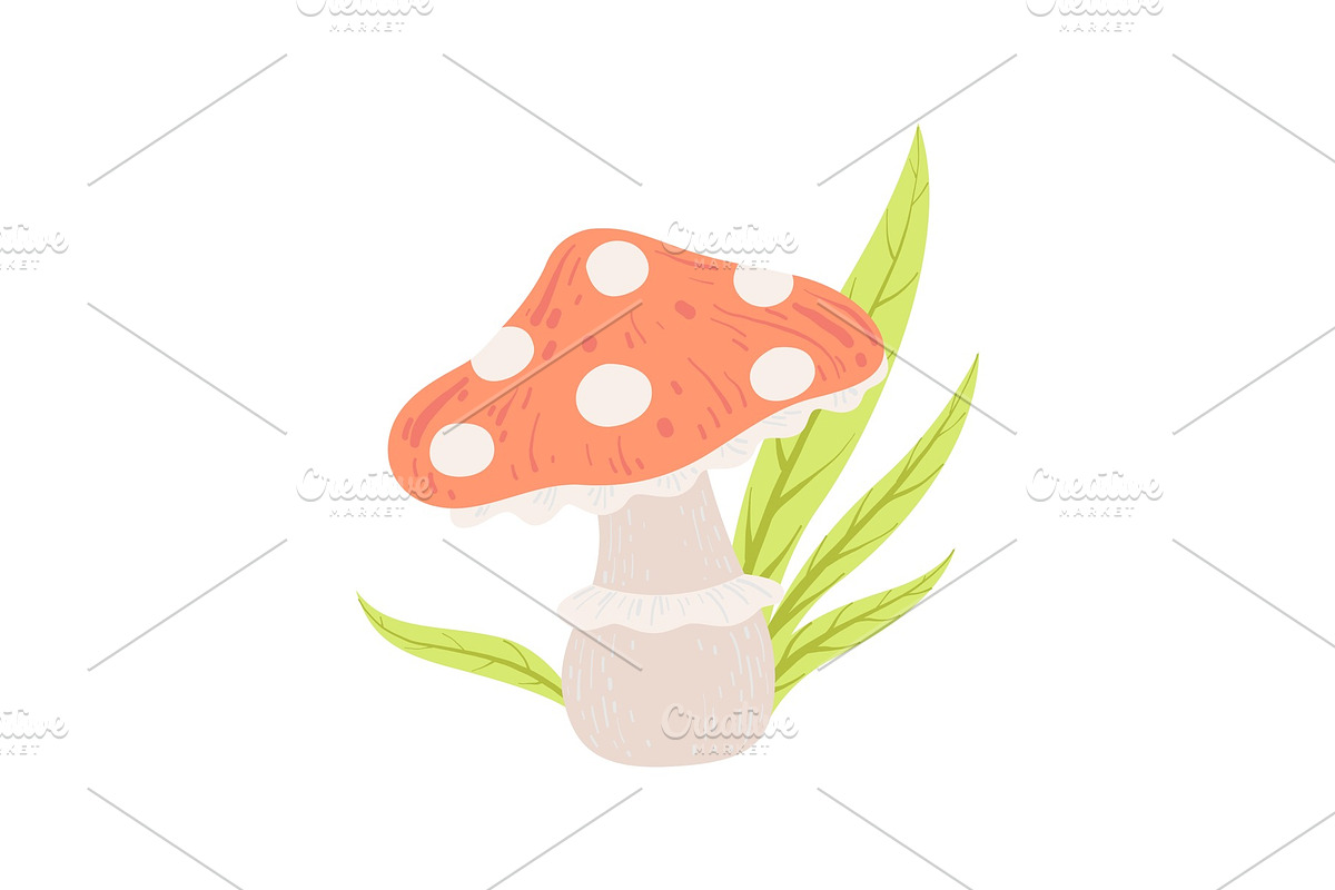 Amanita Muscaria Forest Mushroom in Illustrations - product preview 8