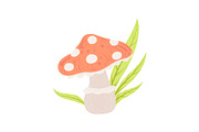 Amanita Muscaria Forest Mushroom