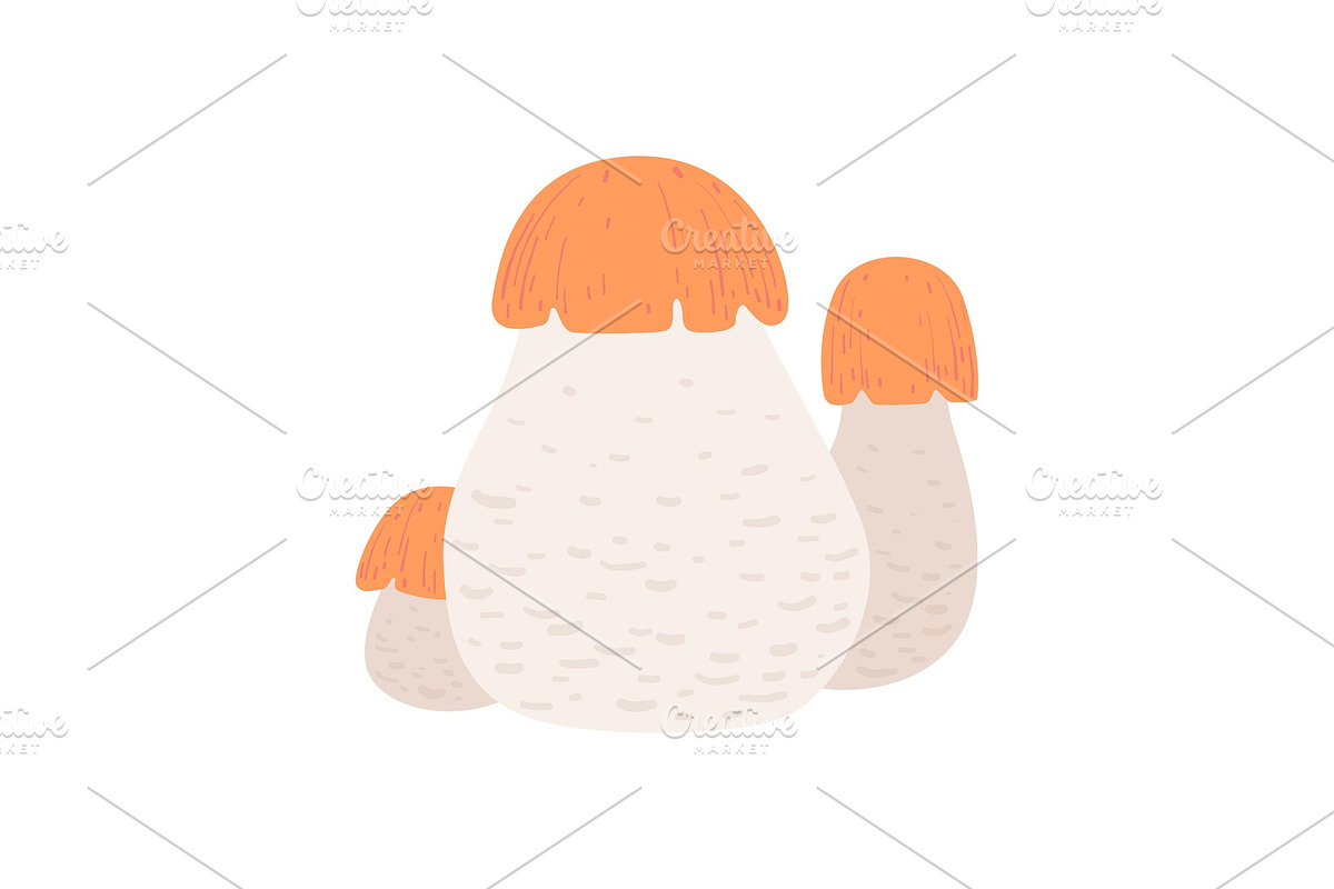 Forest Edible Aspen Mushroom, Wild in Illustrations - product preview 8