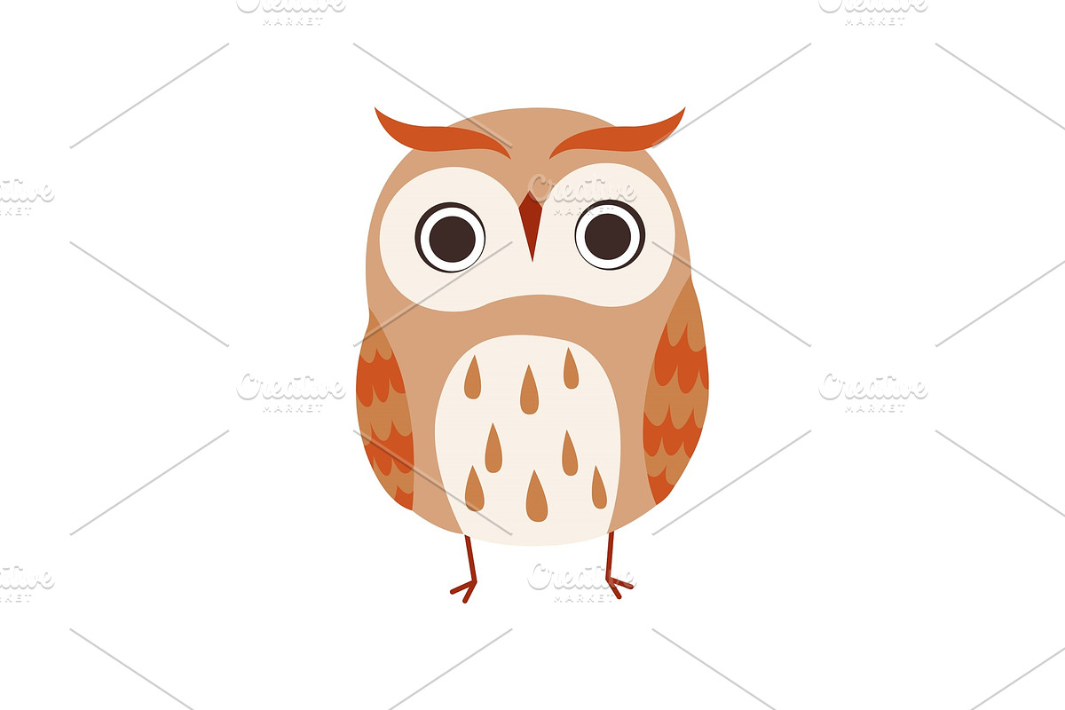 Cute Owlet, Adorable Owl Bird in Illustrations - product preview 8