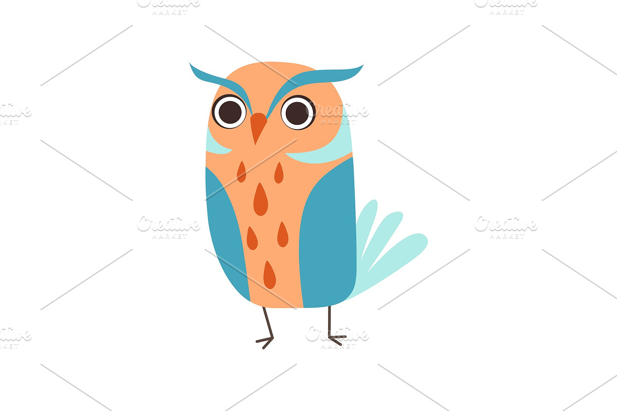 Cute Adorable Colorful Owl Bird in Illustrations - product preview 8