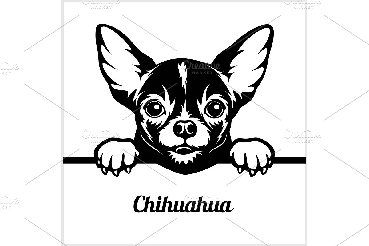 Chihuahua - Peeking Dogs - - breed in Illustrations - product preview 8