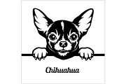 Chihuahua - Peeking Dogs - - breed