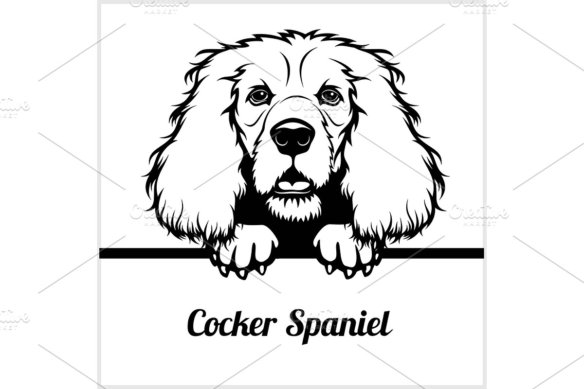 Cocker Spaniel - Peeking Dogs - - in Illustrations - product preview 8