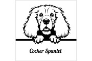 Cocker Spaniel - Peeking Dogs - -