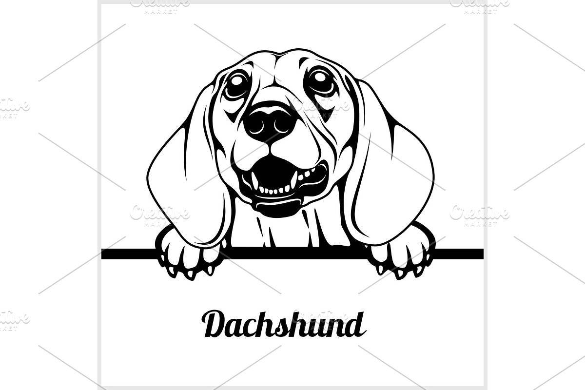 Dachshund - Peeking Dogs - - breed in Illustrations - product preview 8