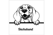 Dachshund - Peeking Dogs - - breed