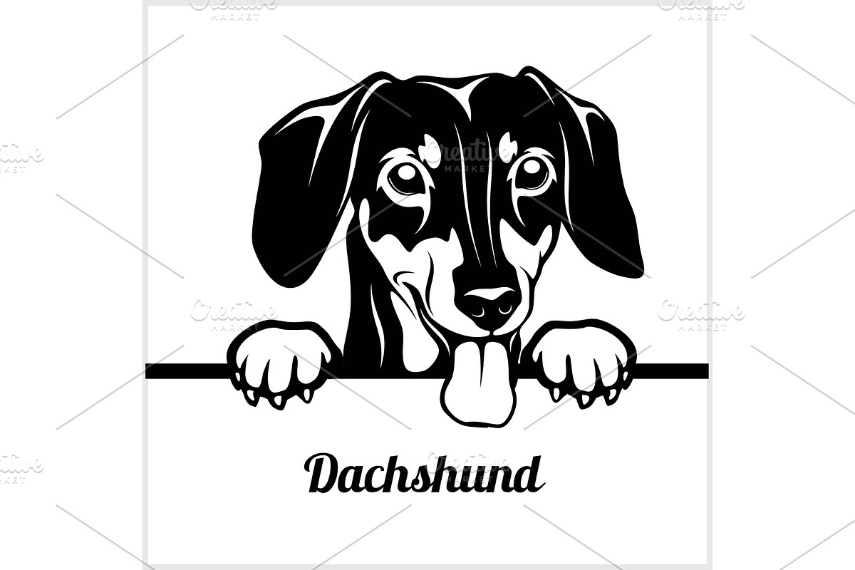 Dachshund - Peeking Dogs - - breed in Illustrations - product preview 8