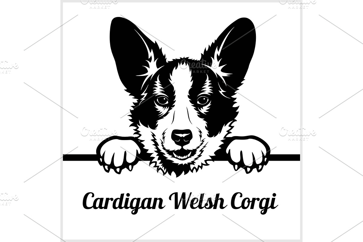 Cardigan Welsh Corgi - Peeking Dogs in Illustrations - product preview 8