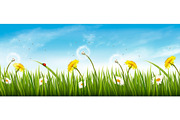 Nature spring panorama with grass.