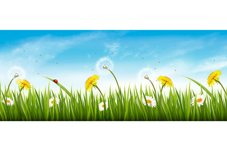 Nature spring panorama with grass. in Illustrations - product preview 8